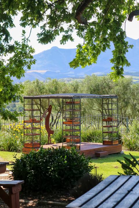 Garden pergola framed by trees