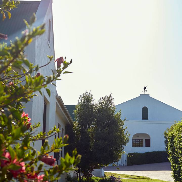 Farm buildings seen past a flowering garden