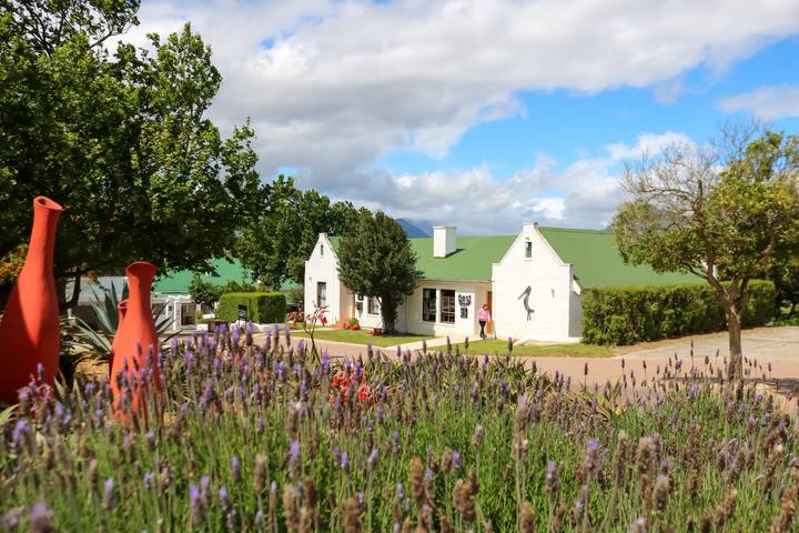 Farm buildings behind lavender and red clay pots