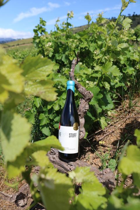 A bottle of Kanu wine resting on an old vine