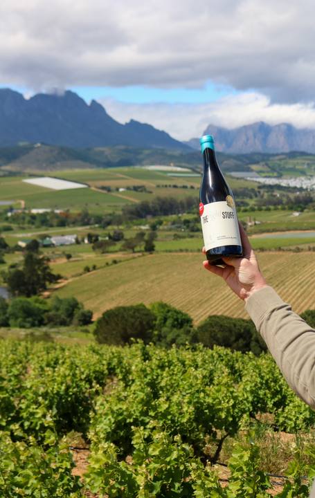 A hand holding a bottle of Kanu wine above the vines