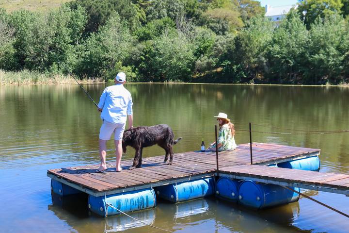 A guest and a dog on the jetty at the dam