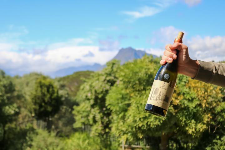 A hand holding a bottle of Kanu wine against green hills