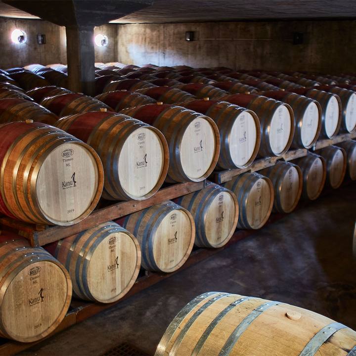 Rows of oak barrels in the underground cellar