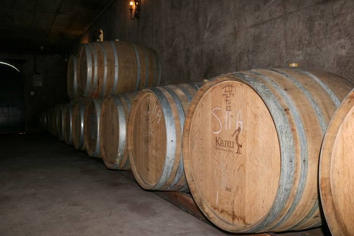 Barrels along the long underground cellar